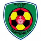 坦桑FC首发阵容